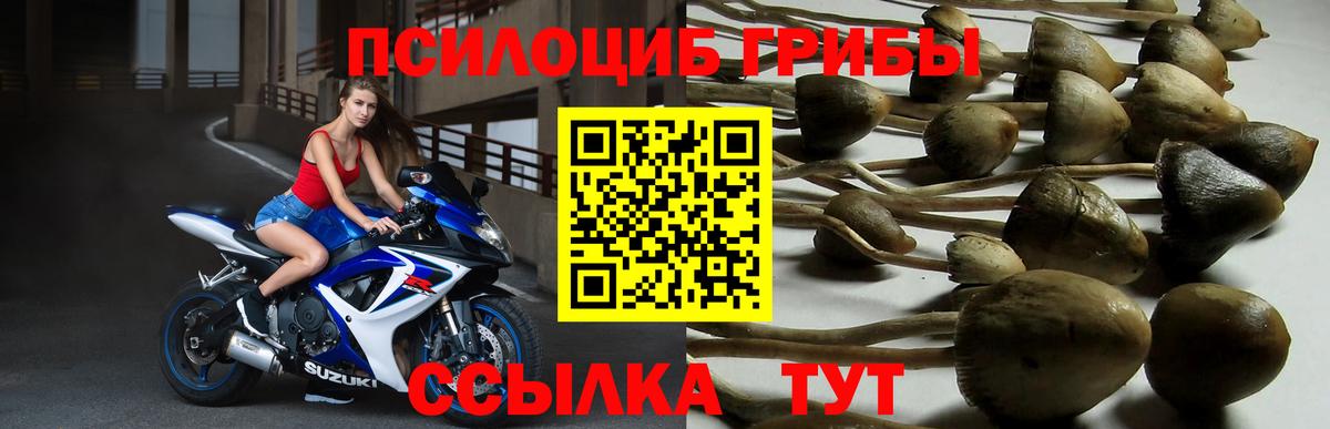 Железногорск  Галлюциногенные грибы ЛСД  Вход с VPN 